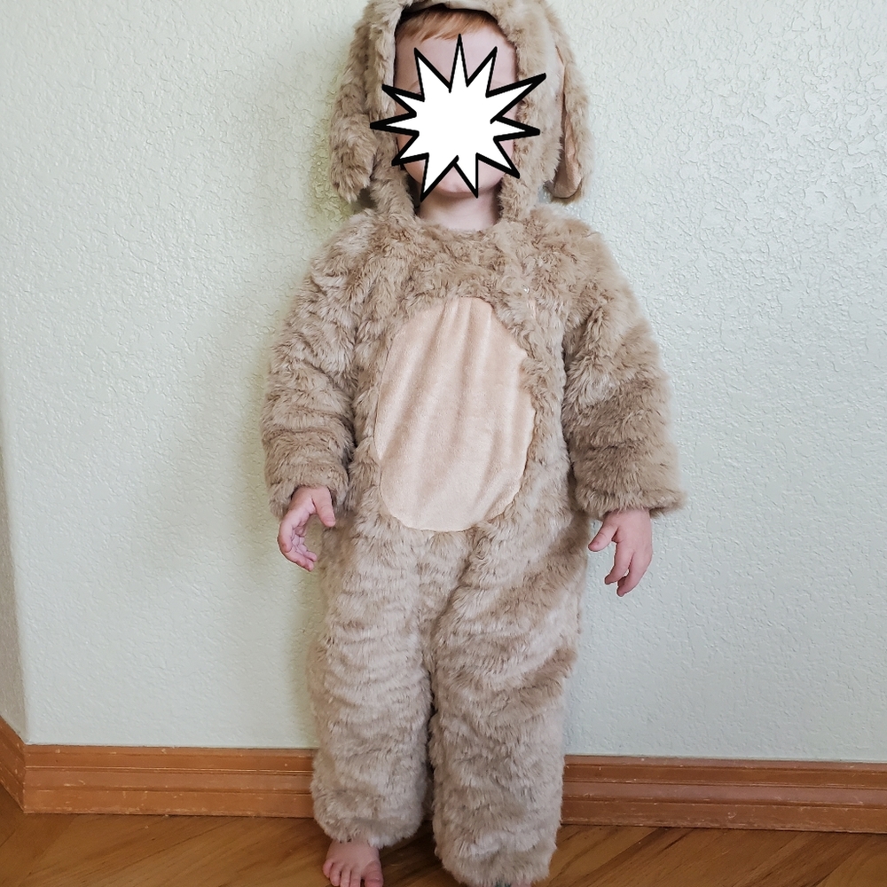 Baby Dog Halloween Costume.